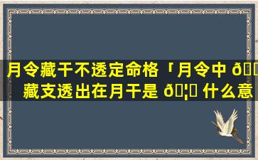 月令藏干不透定命格「月令中 🐦 藏支透出在月干是 🦟 什么意思」